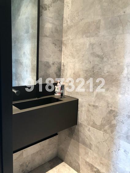 OUE Twin Peaks (D9), Condominium #172852072